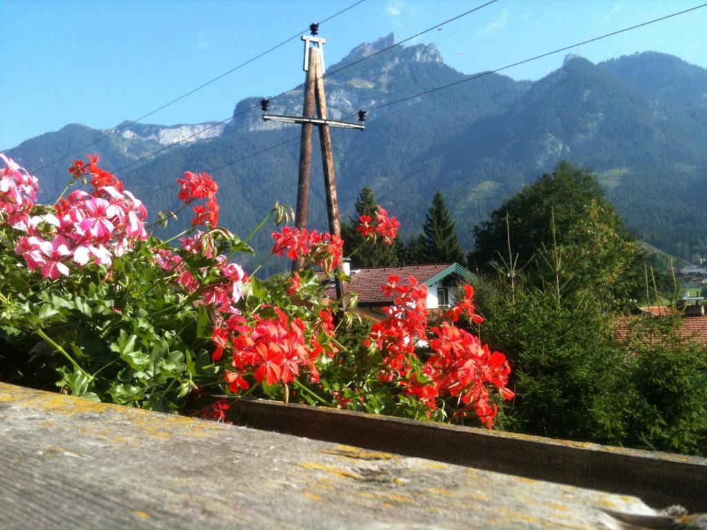 Pension Larchenhof Maurach  Quarto foto